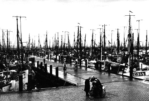 Esbjerg - fishery harbour in the 1950's